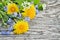 Dandelion and forget-me on a wooden background