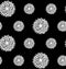 Dandelion graphic pattern vector black and whtie