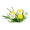 dandelion, green grass, yellow flower illustration, det