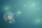 Dandelion in Green horizontal blur backdrop. Bokeh light on summer season illustration. Closeup blowball with flying