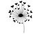 Dandelion with hearts. Black and white dandelion with flying seeds. Vector illustration of a summer flower. Silhouette