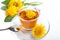 Dandelion herbal tea with yellow blossom in tea cup on white background