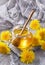 Dandelion honey in a jar