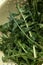 dandelion leaves prepared for a salad