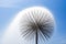 Dandelion-like fountain on blue sky background