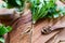 Dandelion root on a wooden cutting board