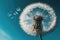 dandelion seed blowing in the breeze, with a view of the blue sky above