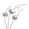 Dandelion silhouettes. Dandelions grass pollen delicate plant seeds blowing wind fluff flower abstract vector spring