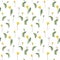 Dandelion spring flowers pattern