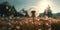 dandelion time, dandelion seeds blowing in the wind, panoramic image.