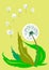 Dandelion vector background botany flower blossom