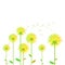 Dandelion vector background botany flower blossom fluffy