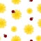 Dandelion yellow flowers and red ladybugs seamless pattern. Surface floral art design. Great for vintage fabric, wallpaper, giftwr