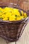 Dandelions in a basket