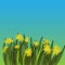 Dandelions embroidery. Beautiful dandelions classical embroidery, template for clothes and textiles