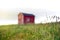 Dandelions and grass growing near tiny red building in field