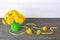 Dandelions in green bucket on wood background