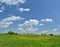 Dandelions meadow and blue sky