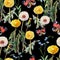 Dandelions , meadow flowers, butterfly, watercolor, pattern seamless