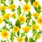 Dandelions seamless pattern. Spring yellow flowers. Watercolor floral repeated background