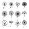 Dandelions Signs Black Thin Line Icon Set. Vector