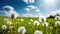 Dandelions in a Sunlit Meadow Beneath Blue Skies