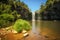Dangar Falls in the Rainforest of Dorrigo National Park, Australia