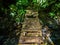 Danger broken plank bridge in tropical forest