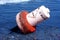 Danger Buoy Toppled