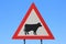 Danger - Cattle (Cow) Crossing Road Sign - Watch out for Domestic Animals