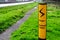 Danger overhead cables warning sign next uk motorway in england