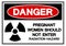 Danger Pregnant Women Should Not Enter Radiation Hazard Symbol Sign ,Vector Illustration, Isolate On White Background Label. EPS10