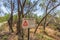 Danger warning sign of 1080 poison fox bait at Lake Clifton, Mt John Road, Herron, Western Australia