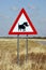 Danger Warthogs Sign - Namibia