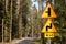Dangerous bends road sign. Road markings standing by a forest road.