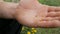 Dangerous brown tick Ixodida crawls on the hand of a male farmer in nature