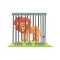 Dangerous Lion With Big Mane Standing Behind The Cage Bars In The Zoo