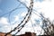 dangerous metal barbed wire against the background of a blurry sky with clouds