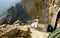 Dangerous mountain road in Himalayas