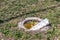 Dangerous opened manhole hole cover, danger for people who walking on the grass in the park in the city