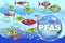 Dangerous PFAS Perfluoroalkyl and Polyfluoroalkyl substances in fish industry - Food Safety and Quality Control