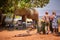 Dangerous situation with wild animal.  A wild African elephant destroying camping equipment and threatens safari visitors. An