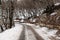 dangerous snowy twist on a winter road in forest