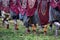 Dani people during tribe festival in wamena