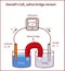 Daniell`s Cell, saline bridge version vector illustration