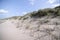 Danish beach shore with lyme grass