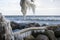 Danish coastline winter landscape with icicles.