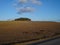 Danish field during spring