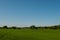 Danish field with trees in the background