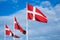 Danish Flags